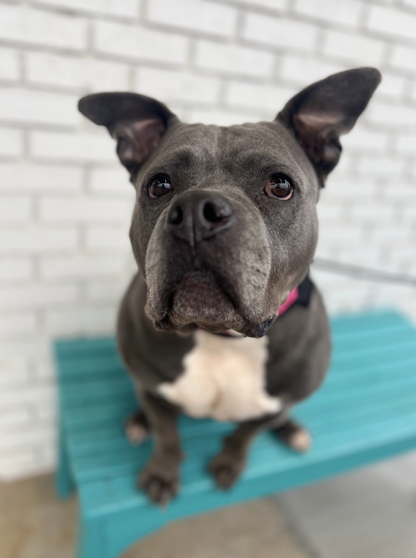 Screenshot 2026-01-15 at 1.38.37 PM.png