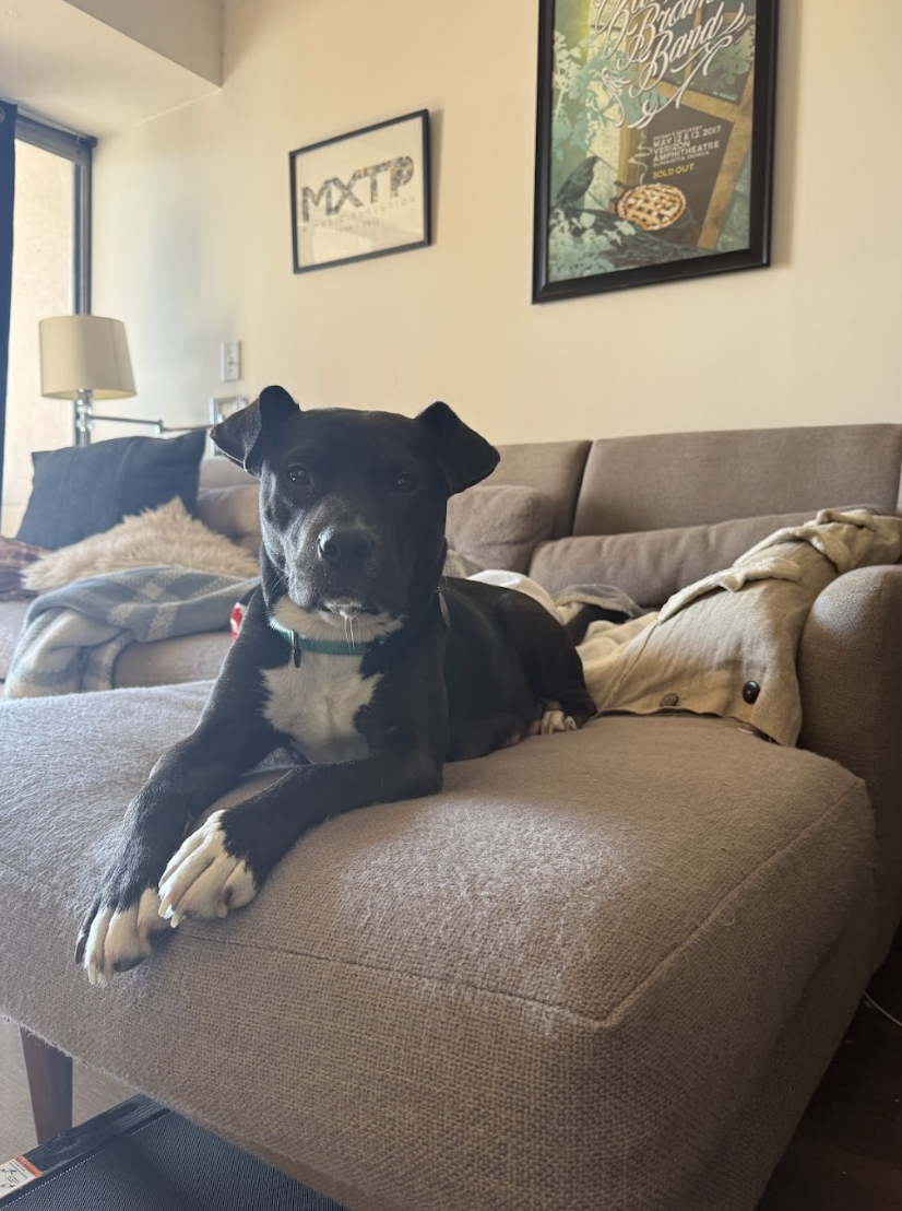 Screenshot 2026-01-14 at 1.55.18 PM.png