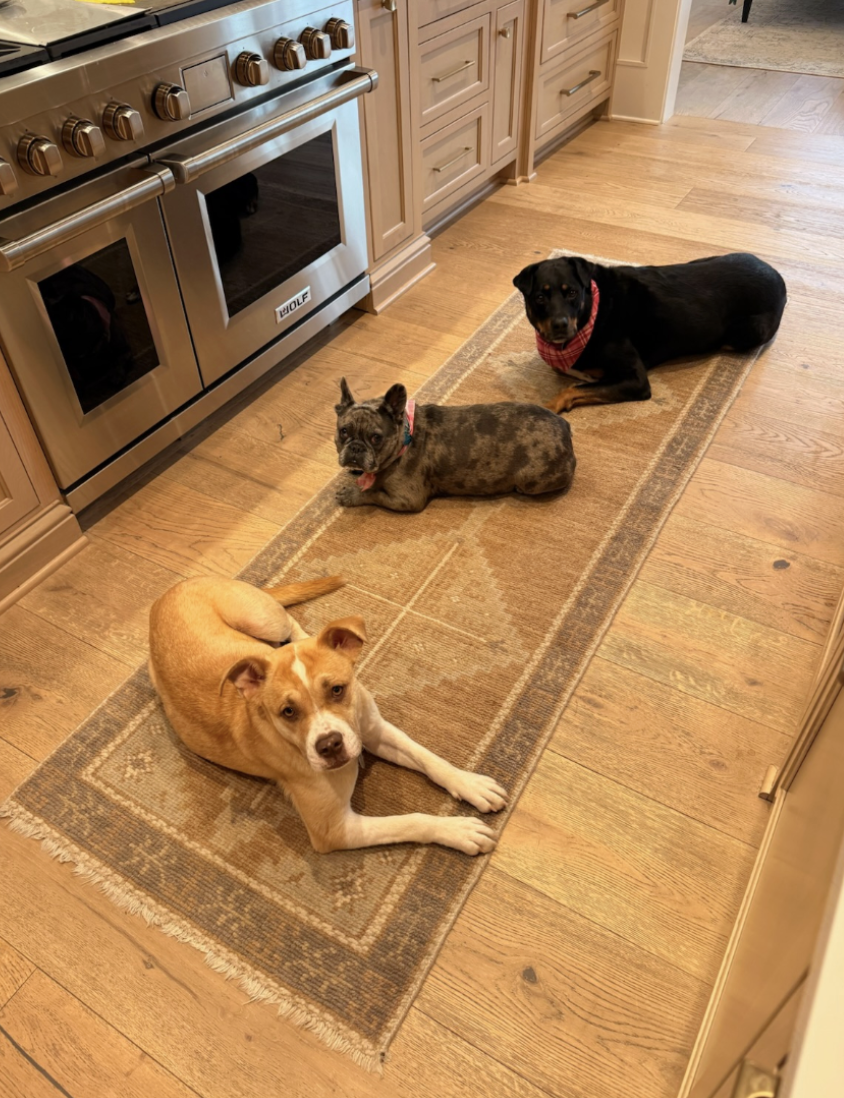 Screenshot 2026-03-18 at 4.27.54 PM.png