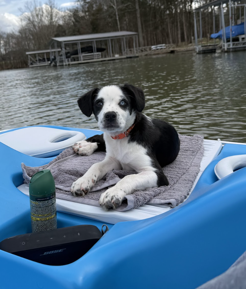 Screenshot 2026-04-03 at 1.42.06 PM.png