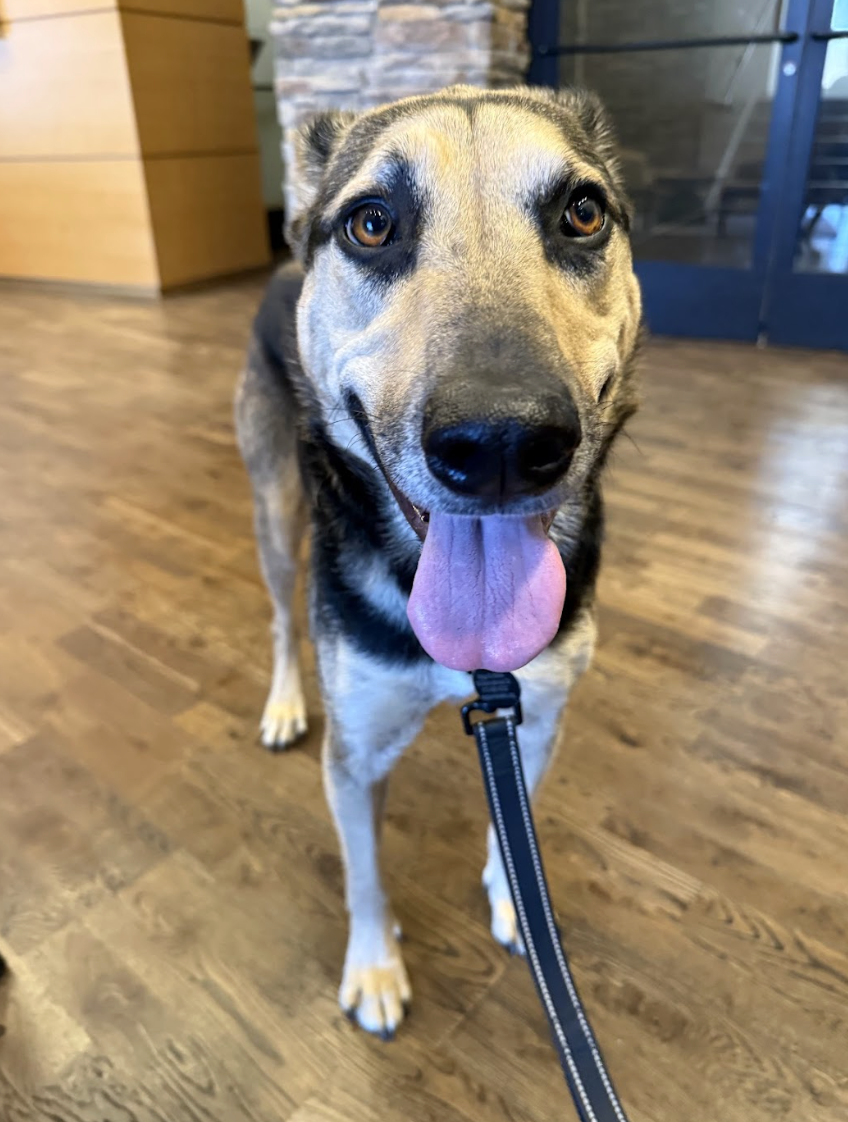 Screenshot 2026-04-14 at 7.26.43 PM.png