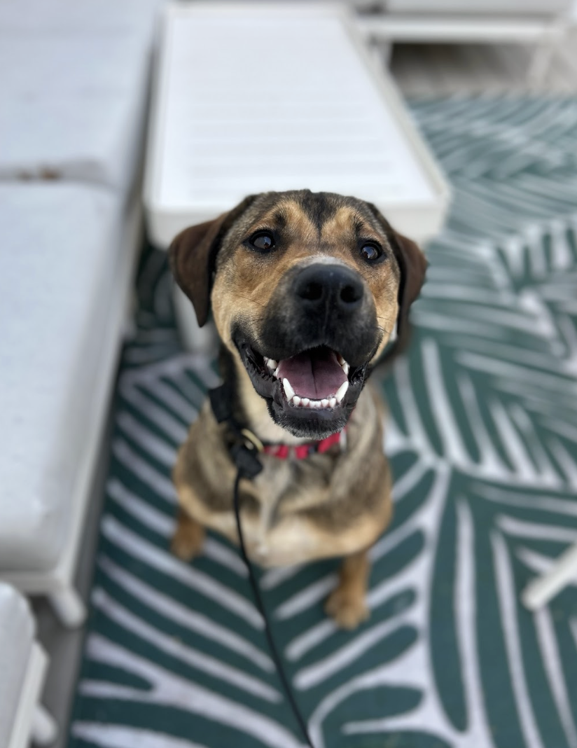 Screenshot 2026-03-14 at 5.11.32 PM.png