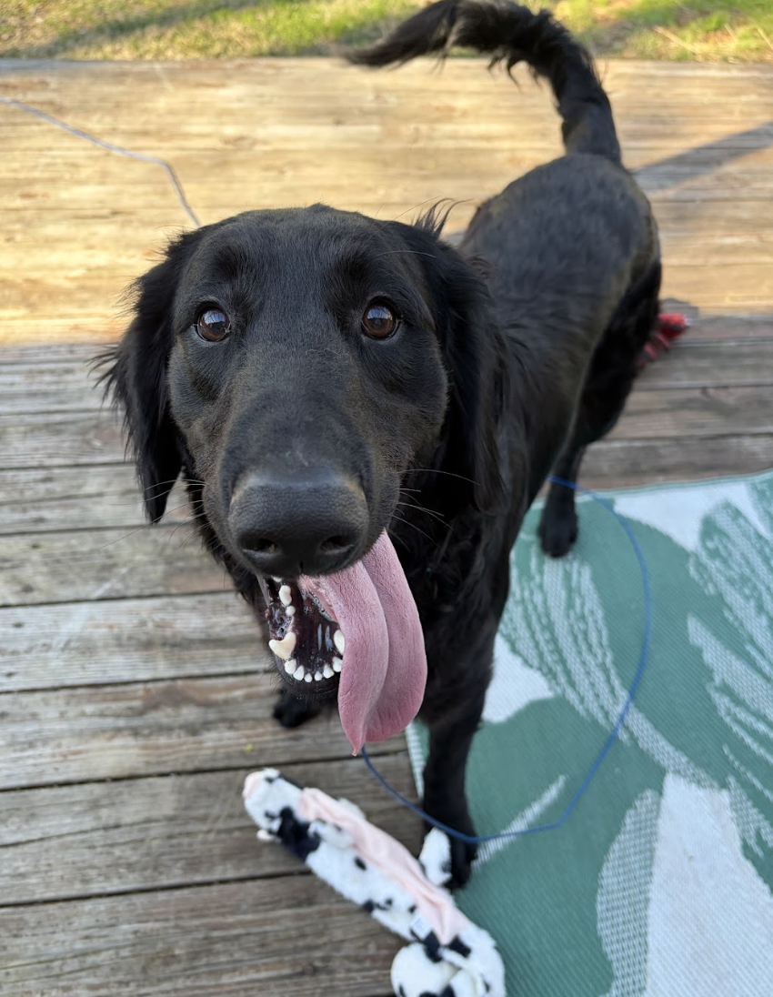 Screenshot 2026-03-20 at 3.21.26 PM.png