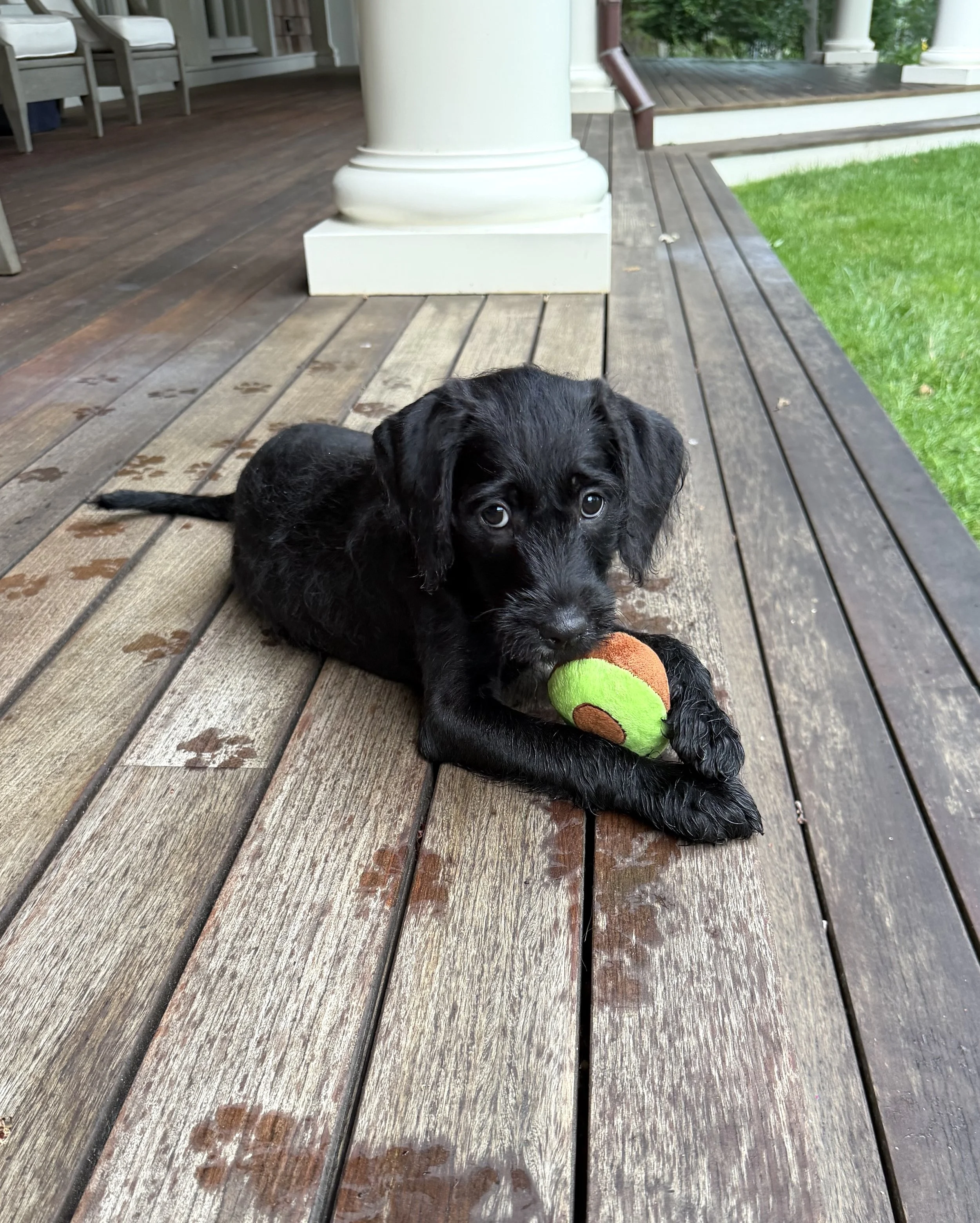 Hershey 2.jpg