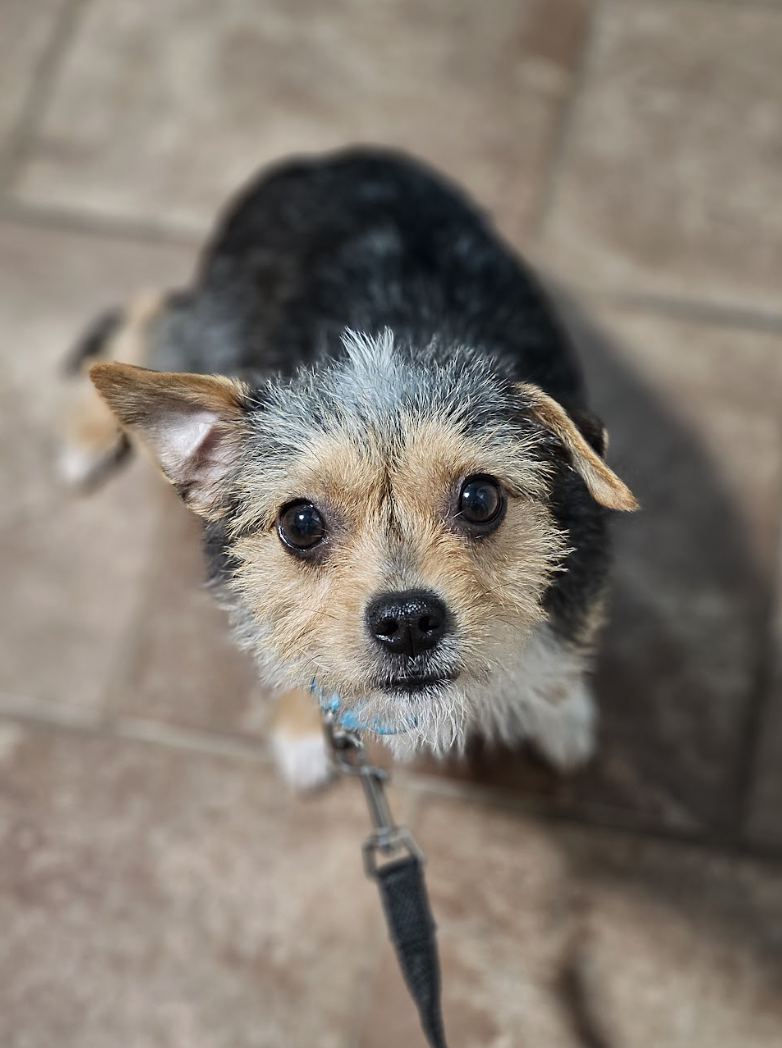 Screenshot 2026-01-06 at 1.34.59 PM.png