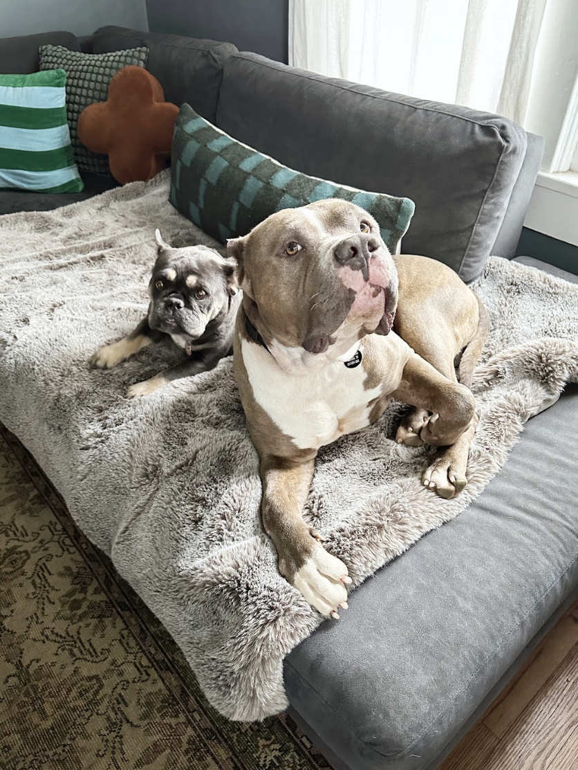 Screenshot 2026-04-15 at 12.42.57 PM.png