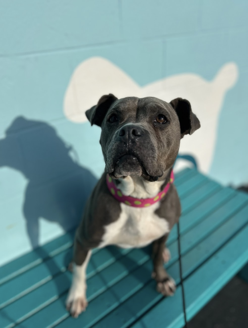 Screenshot 2026-02-25 at 12.58.59 PM.png