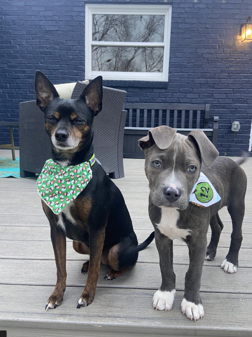 Screenshot 2026-01-08 at 1.23.48 PM.png