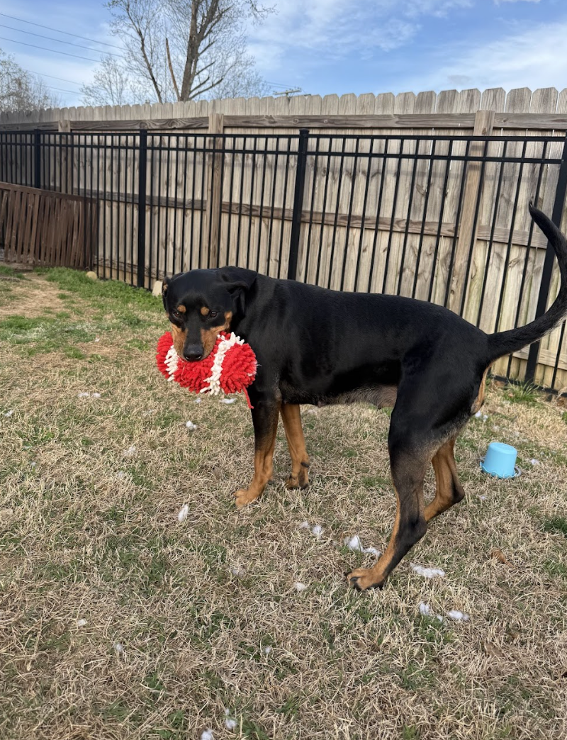 Screenshot 2026-04-03 at 3.12.13 PM.png