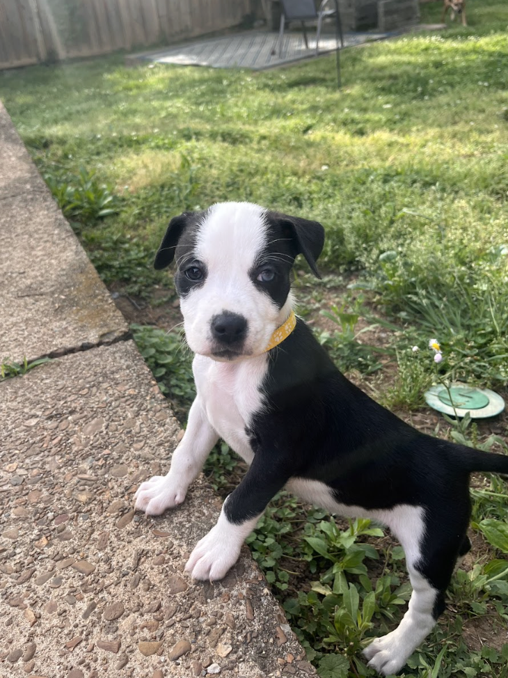 Screenshot 2026-04-23 at 2.21.58 PM.png