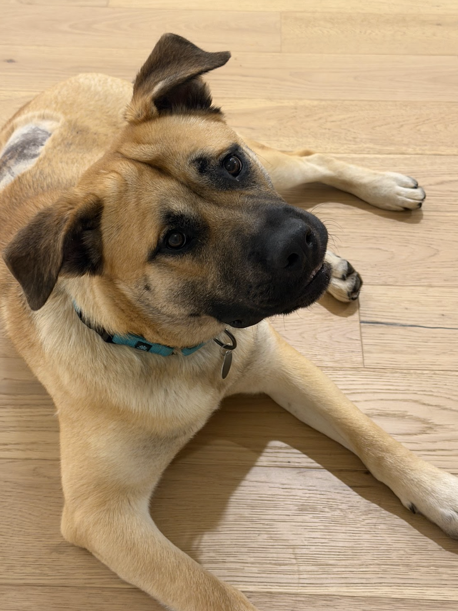 Screenshot 2026-02-27 at 1.54.40 PM.png