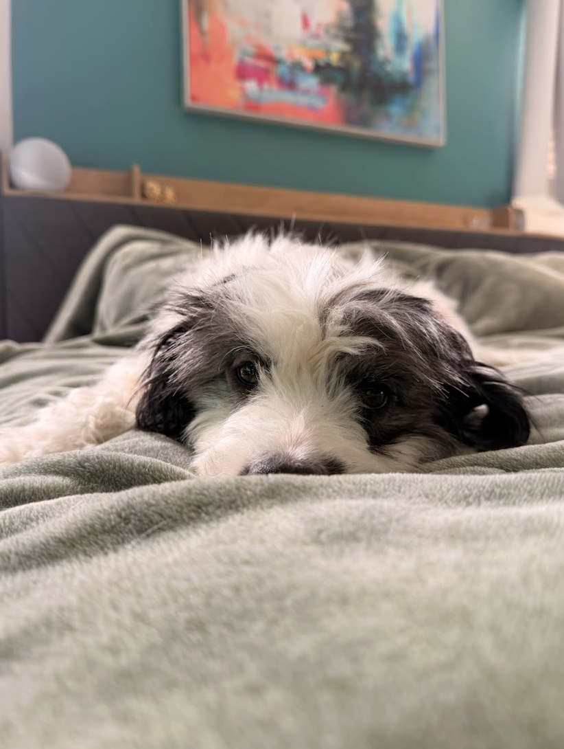 Screenshot 2026-02-28 at 4.17.22 PM.png