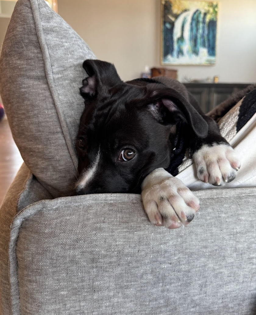 Screenshot 2026-04-03 at 1.22.00 PM.png