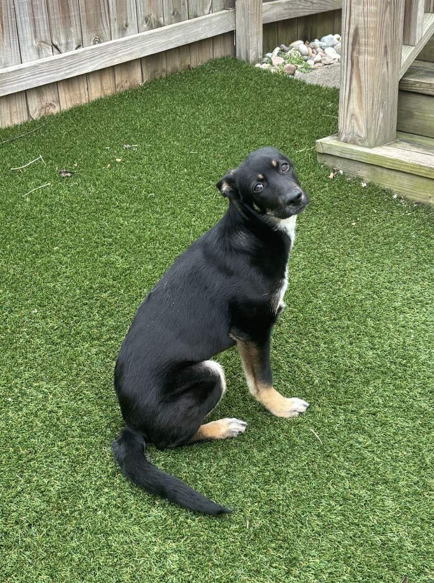 Screenshot 2026-02-27 at 1.46.28 PM.png