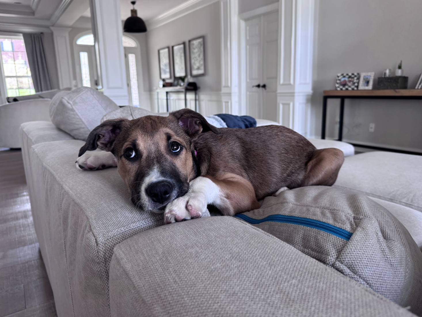 Screenshot 2026-04-03 at 2.12.10 PM.png