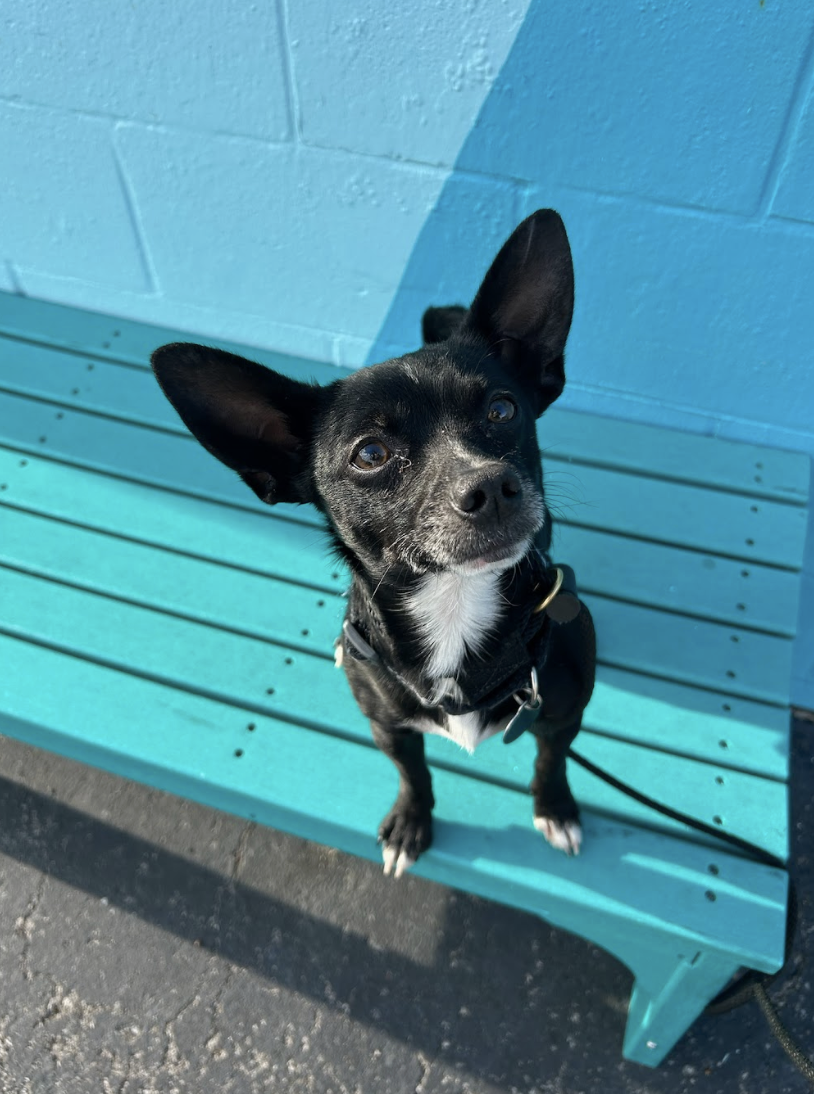 Screenshot 2026-01-14 at 1.39.37 PM.png