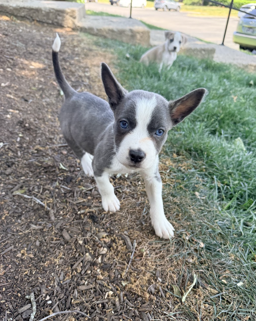 Screenshot 2026-04-23 at 2.15.27 PM.png