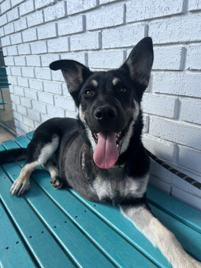 Screenshot 2026-04-23 at 8.06.34 PM.png