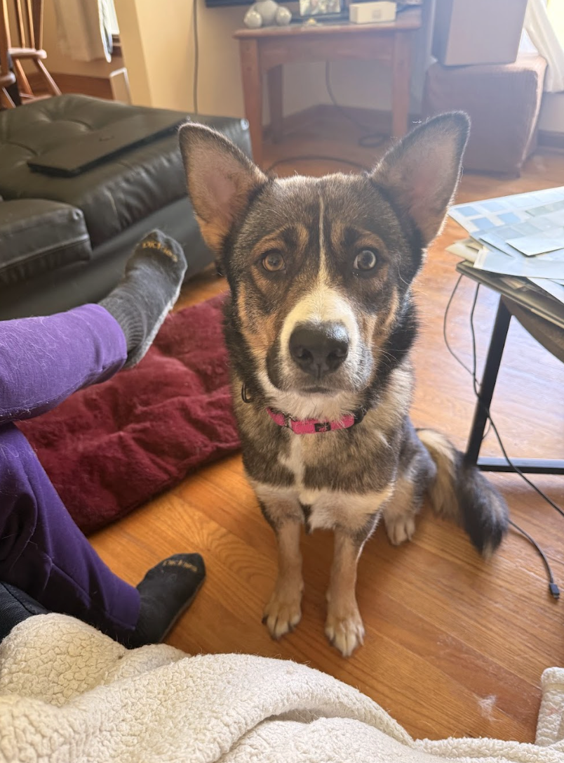 Screenshot 2026-04-22 at 5.29.32 PM.png