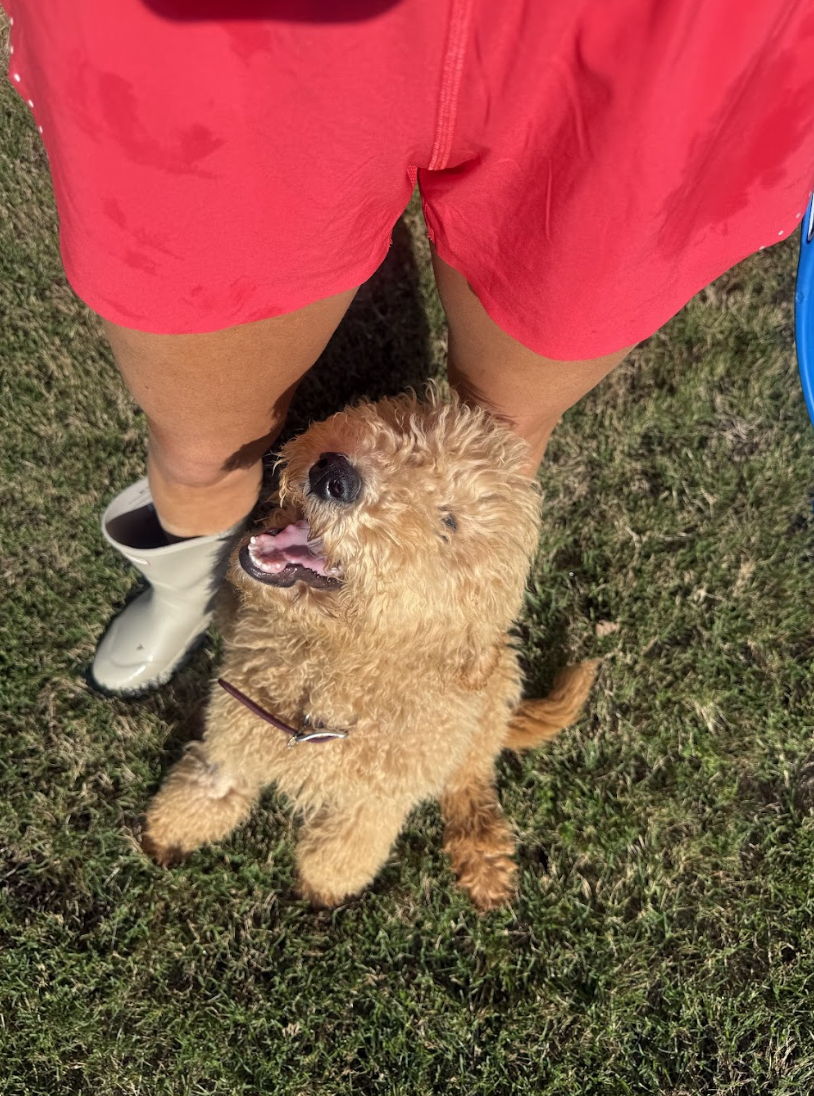 Screenshot 2026-04-27 at 1.12.53 PM.png