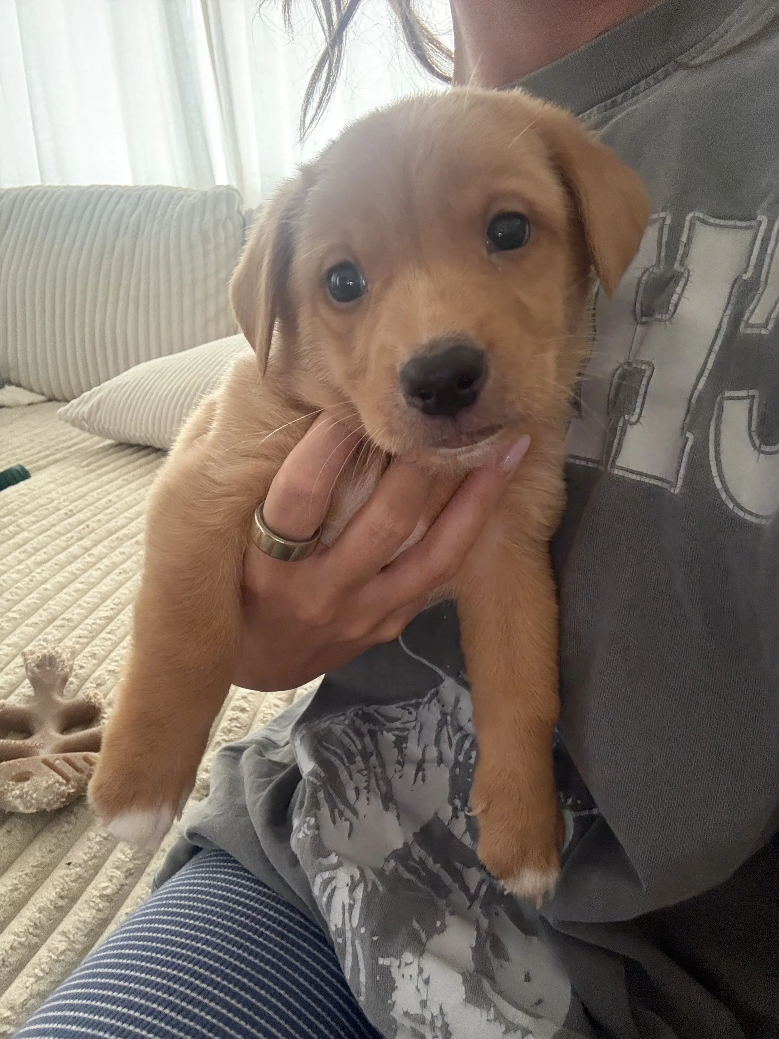 Rookie, The Football Litter