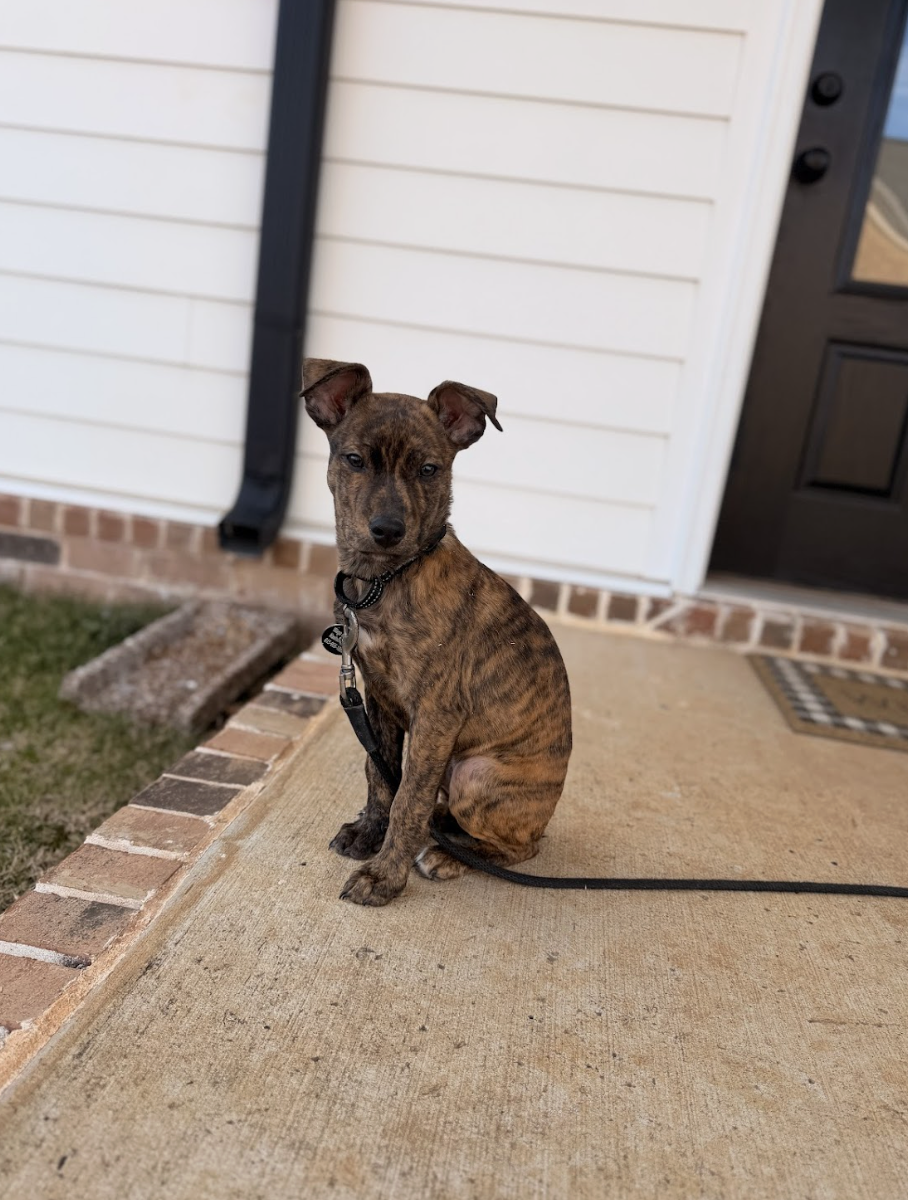 Screenshot 2026-01-14 at 9.22.08 PM.png