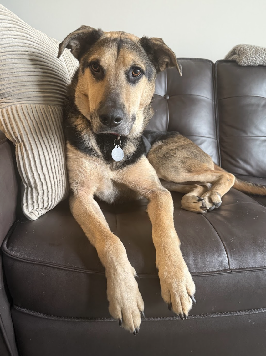 Screenshot 2026-04-14 at 7.26.22 PM.png