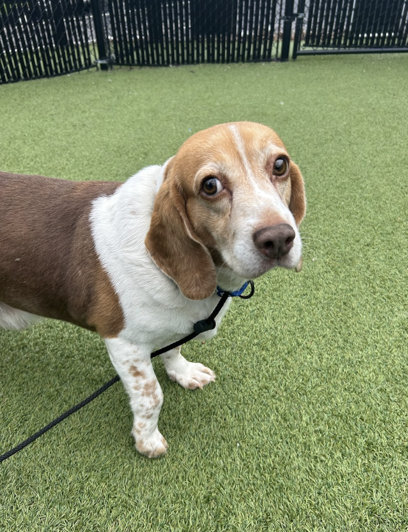 Screenshot 2026-03-11 at 6.31.19 PM.png