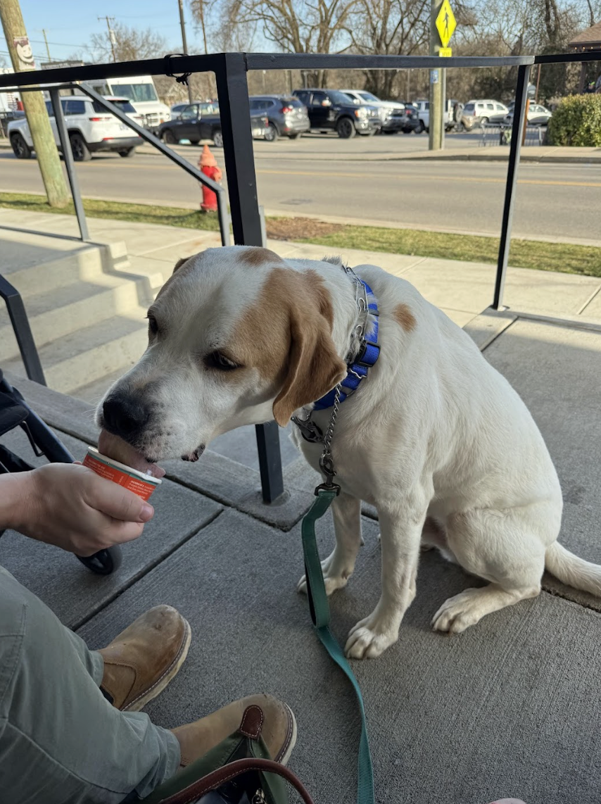 Screenshot 2026-02-21 at 4.17.04 PM.png