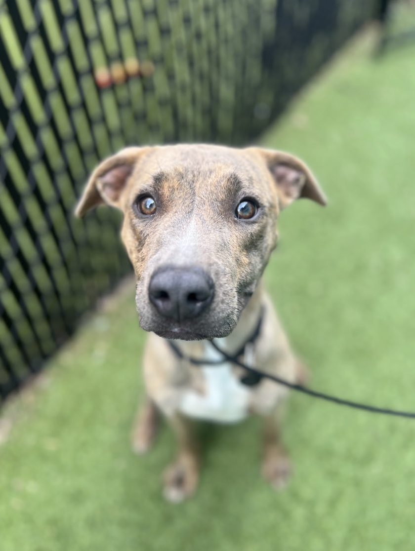 Screenshot 2026-03-26 at 3.08.44 PM.png