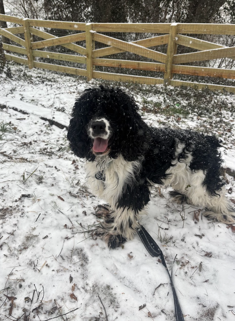 Screenshot 2026-01-24 at 7.52.41 PM.png