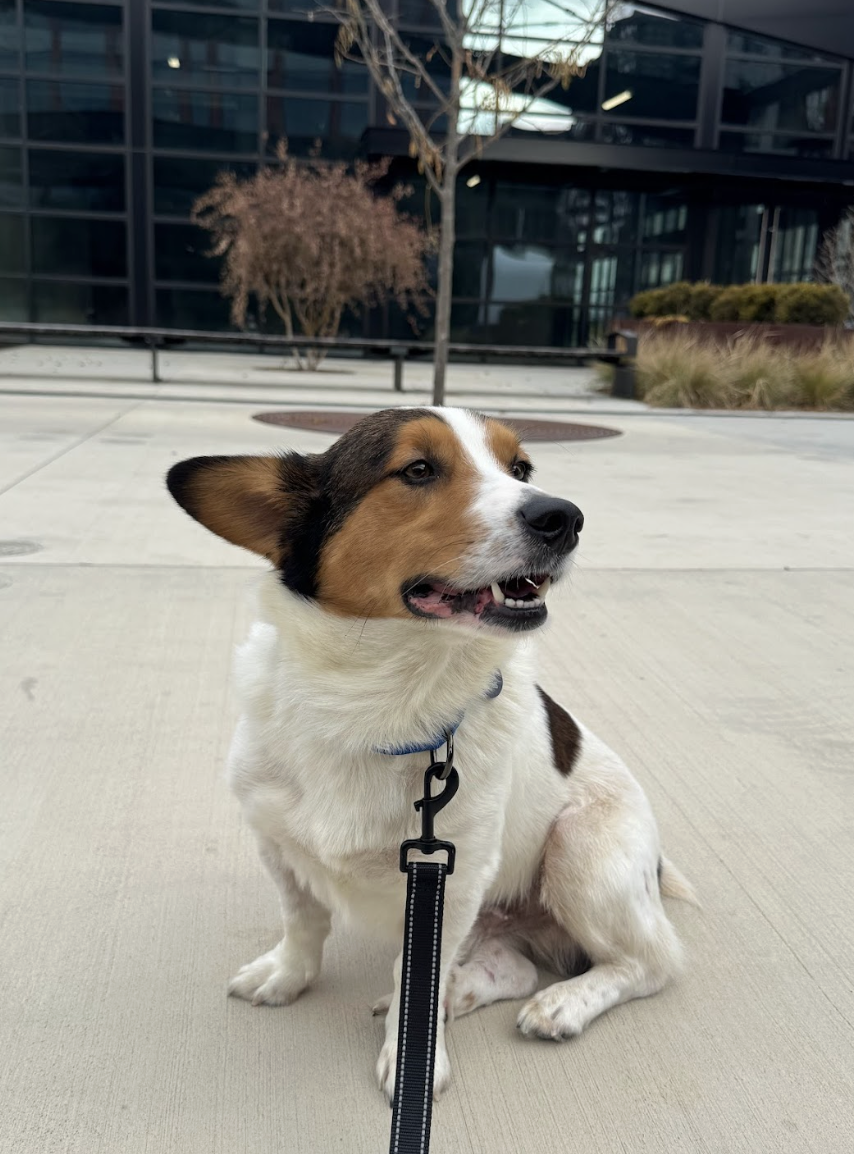 Screenshot 2026-01-06 at 1.27.59 PM.png