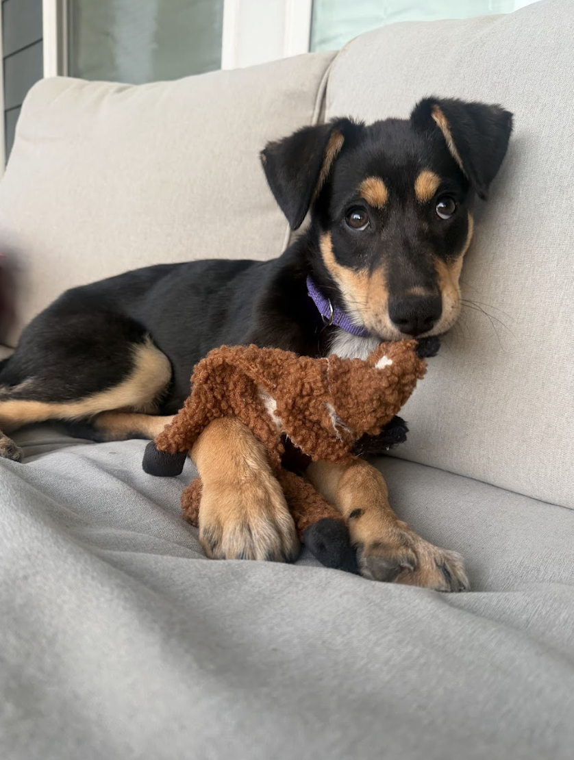 Screenshot 2026-04-20 at 2.44.17 PM.png