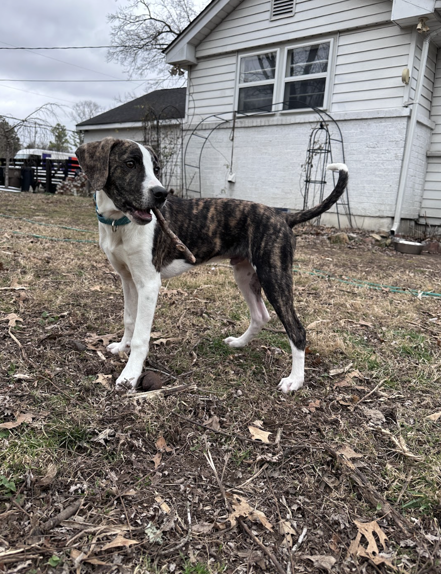 Screenshot 2026-01-14 at 9.18.15 PM.png