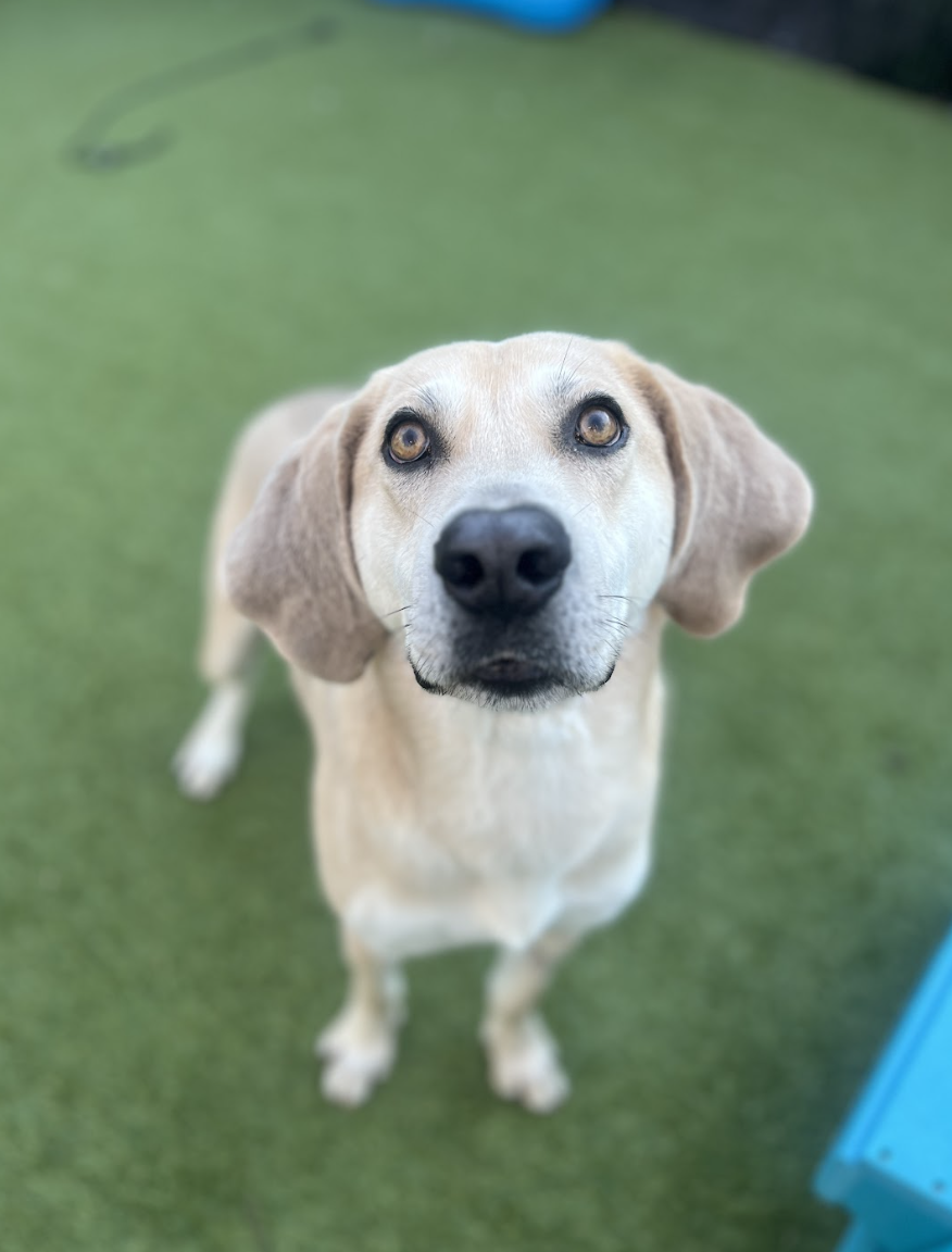 Screenshot 2026-02-27 at 6.27.16 PM.png