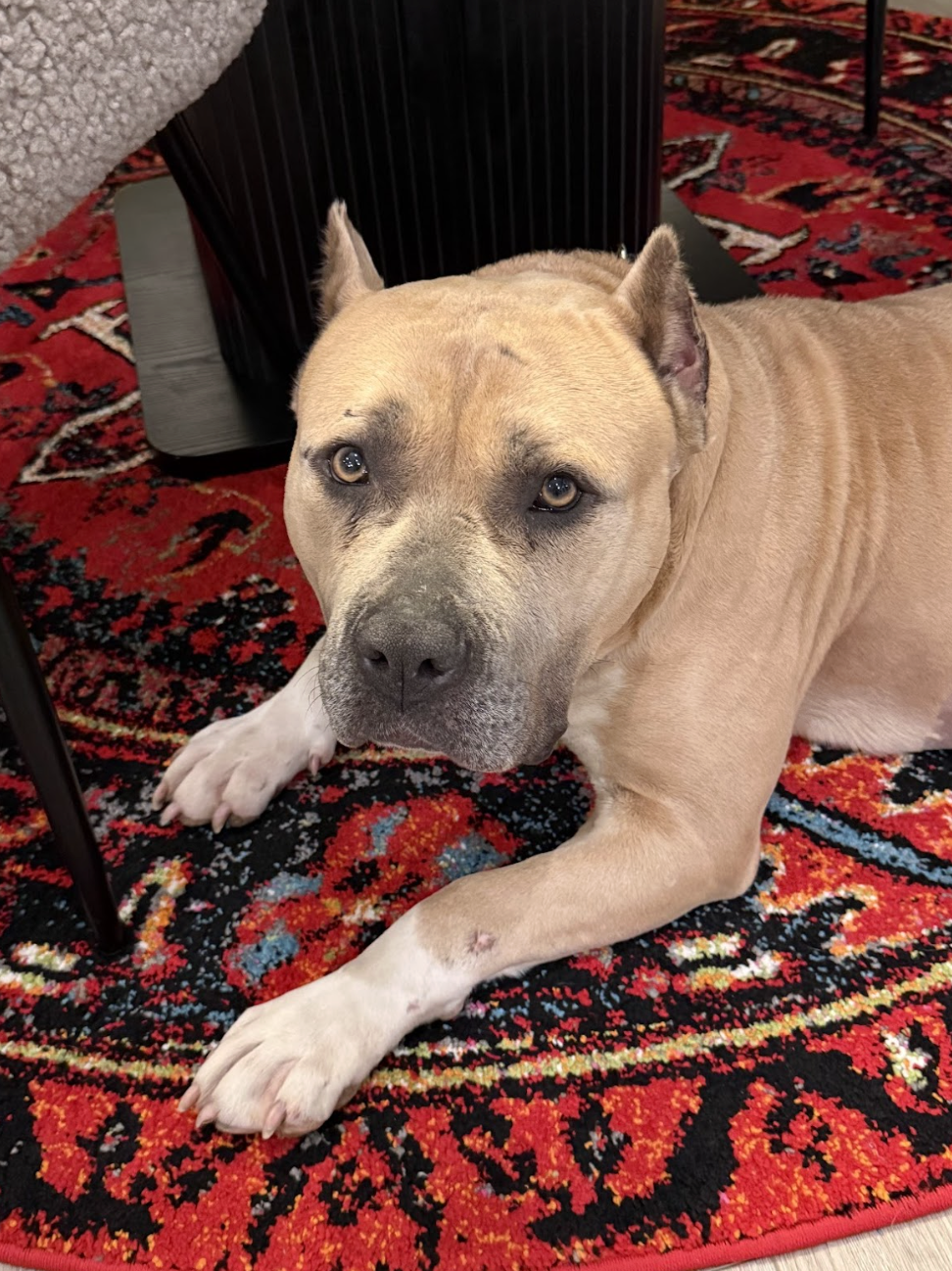 Screenshot 2026-02-07 at 8.12.20 AM.png