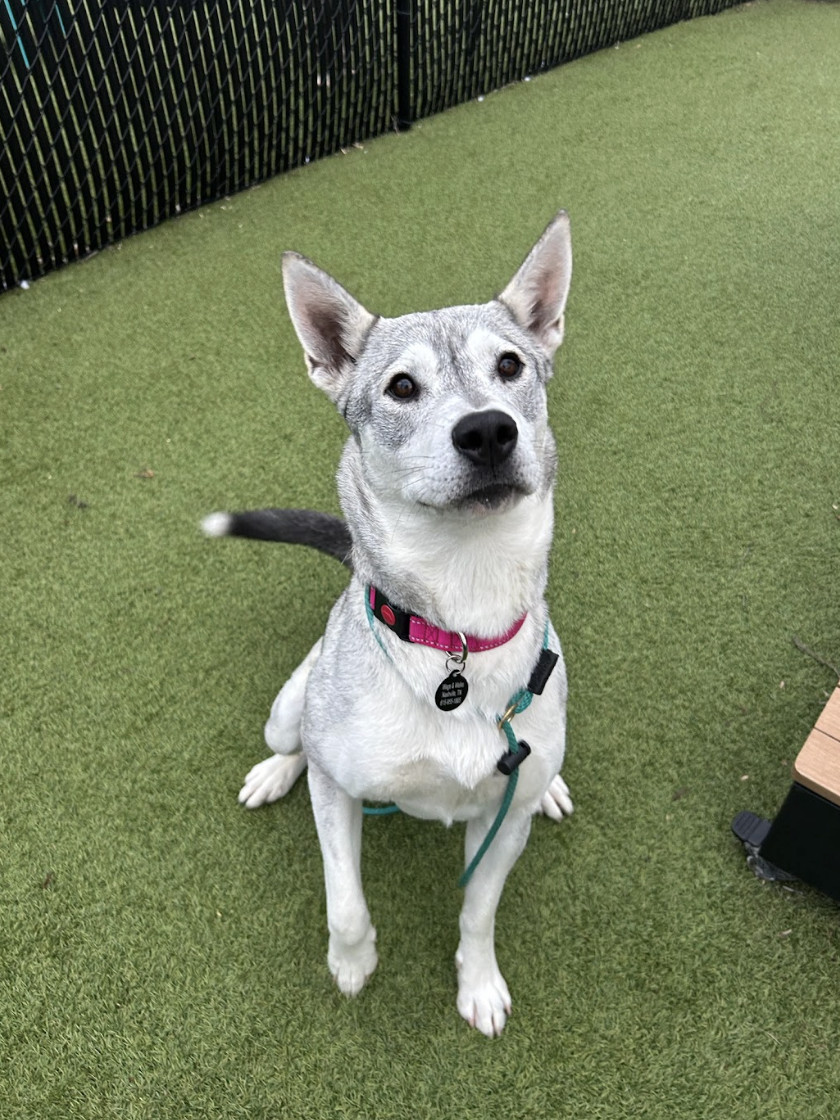 Screenshot 2026-03-11 at 6.39.33 PM.png