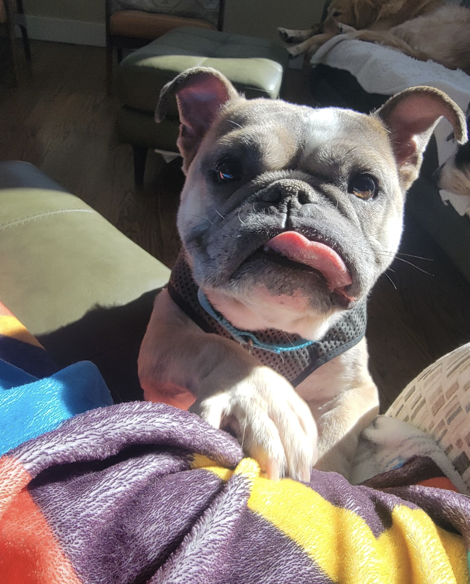 Screenshot 2026-02-16 at 6.11.54 PM.png