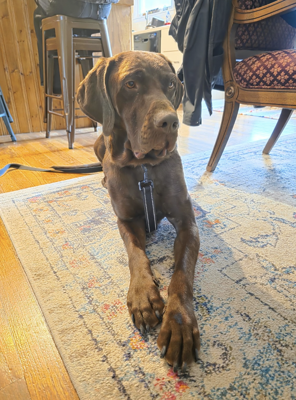 Screenshot 2026-02-16 at 6.14.15 PM.png