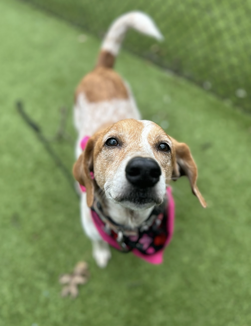 Screenshot 2026-03-11 at 8.37.21 PM.png