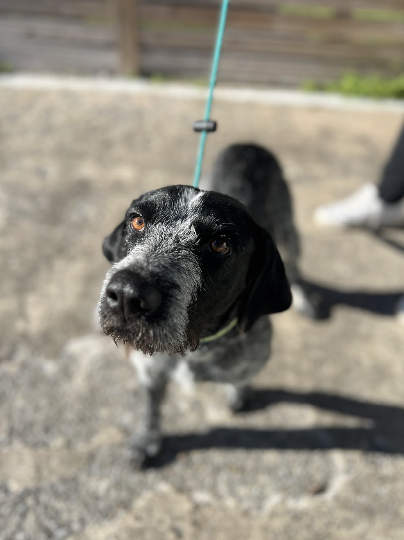 Screenshot 2026-01-15 at 3.34.42 PM.png