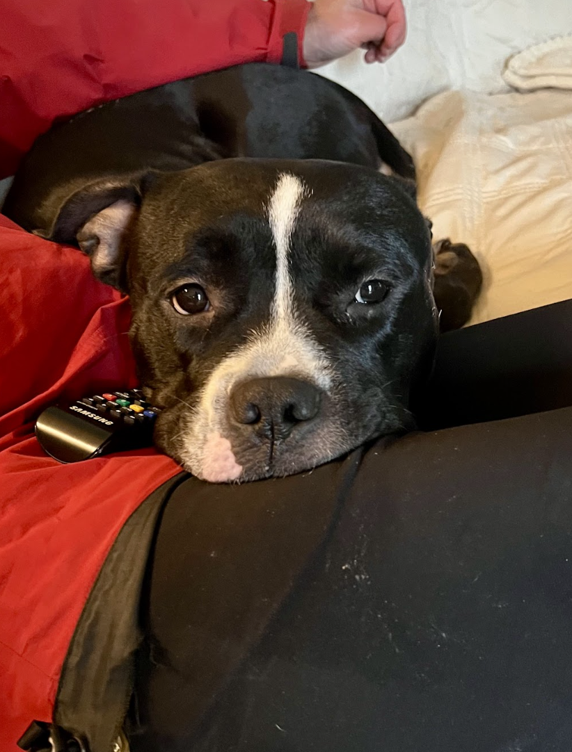 Screenshot 2026-01-09 at 10.26.38 AM.png