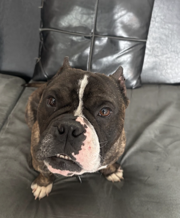 Screenshot 2026-04-22 at 2.47.28 PM.png