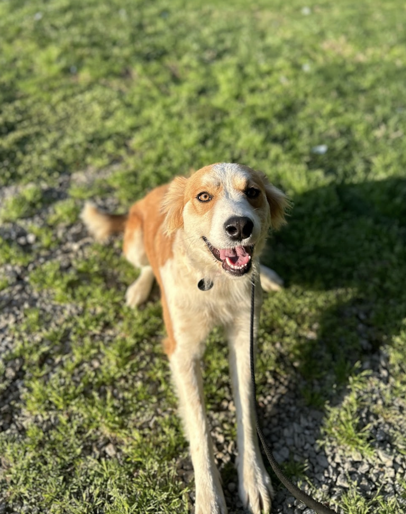 Screenshot 2026-03-14 at 5.05.40 PM.png