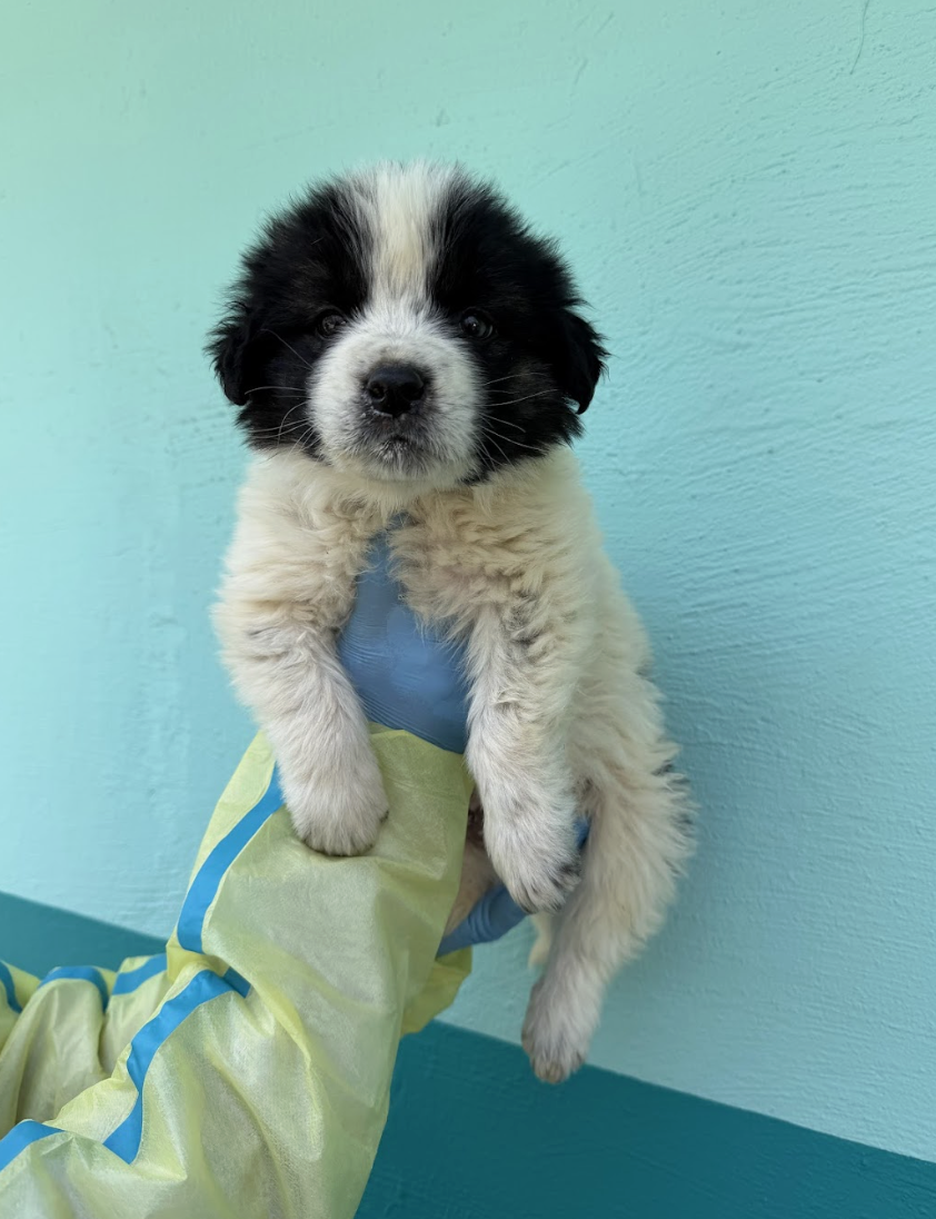 Screenshot 2026-04-13 at 2.44.08 PM.png