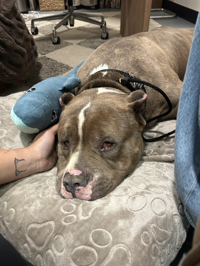 Screenshot 2026-03-11 at 6.47.04 PM.png