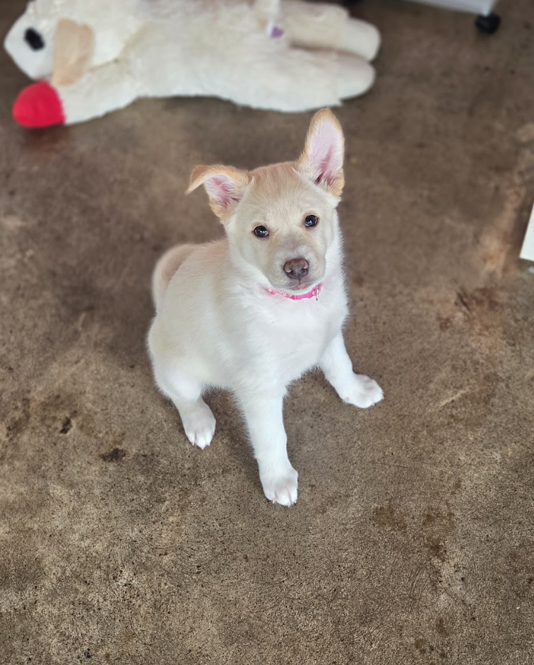 Screenshot 2026-01-14 at 6.35.24 PM.png