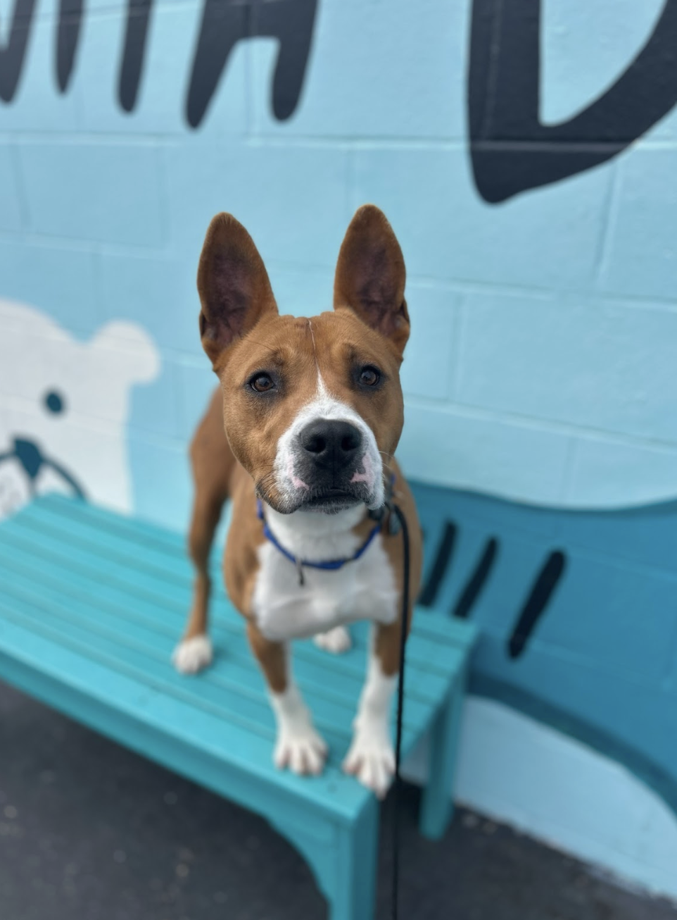 Screenshot 2026-02-16 at 6.58.12 PM.png