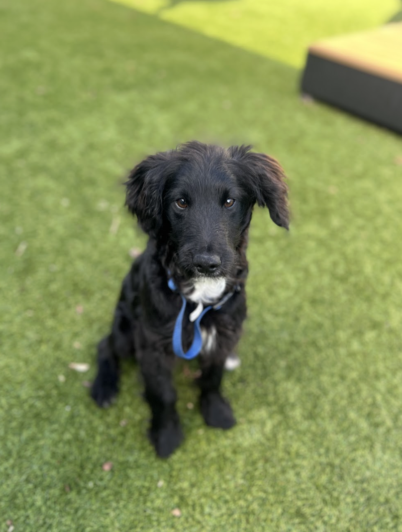 Screenshot 2026-01-15 at 2.59.38 PM.png