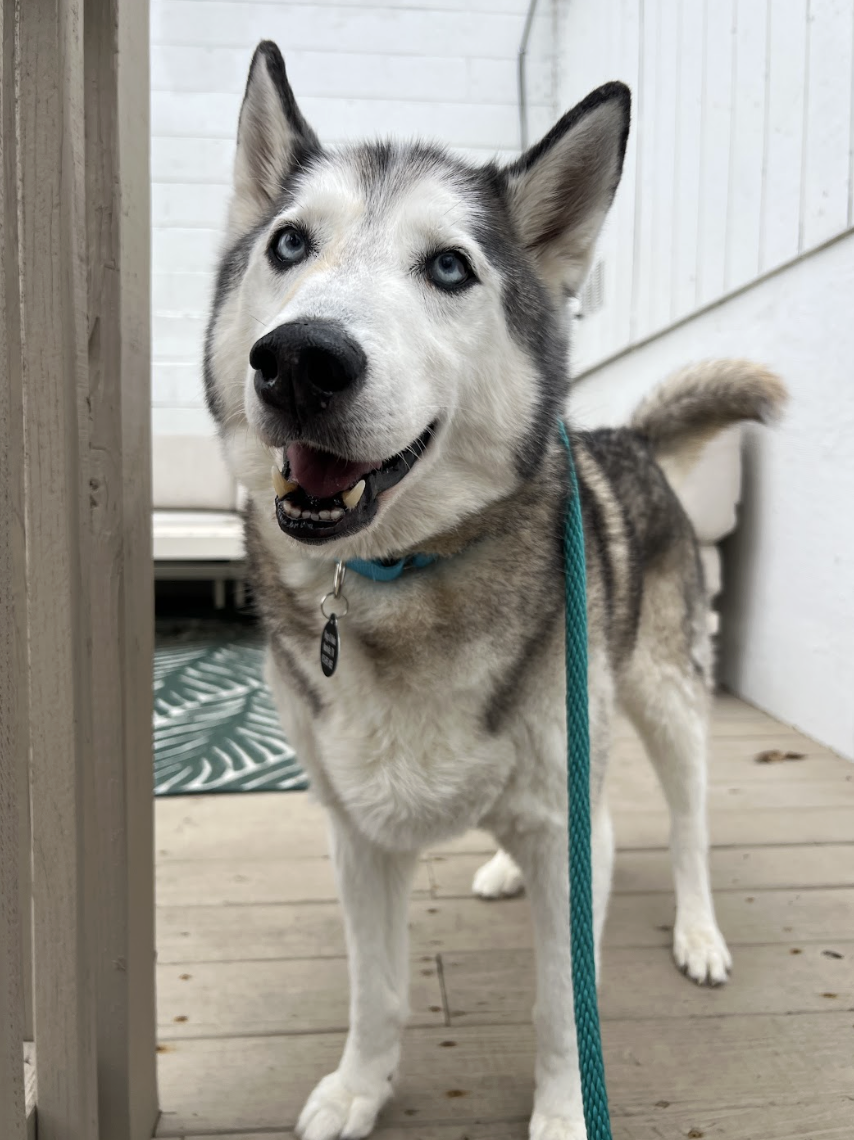 Screenshot 2026-03-11 at 6.45.24 PM.png